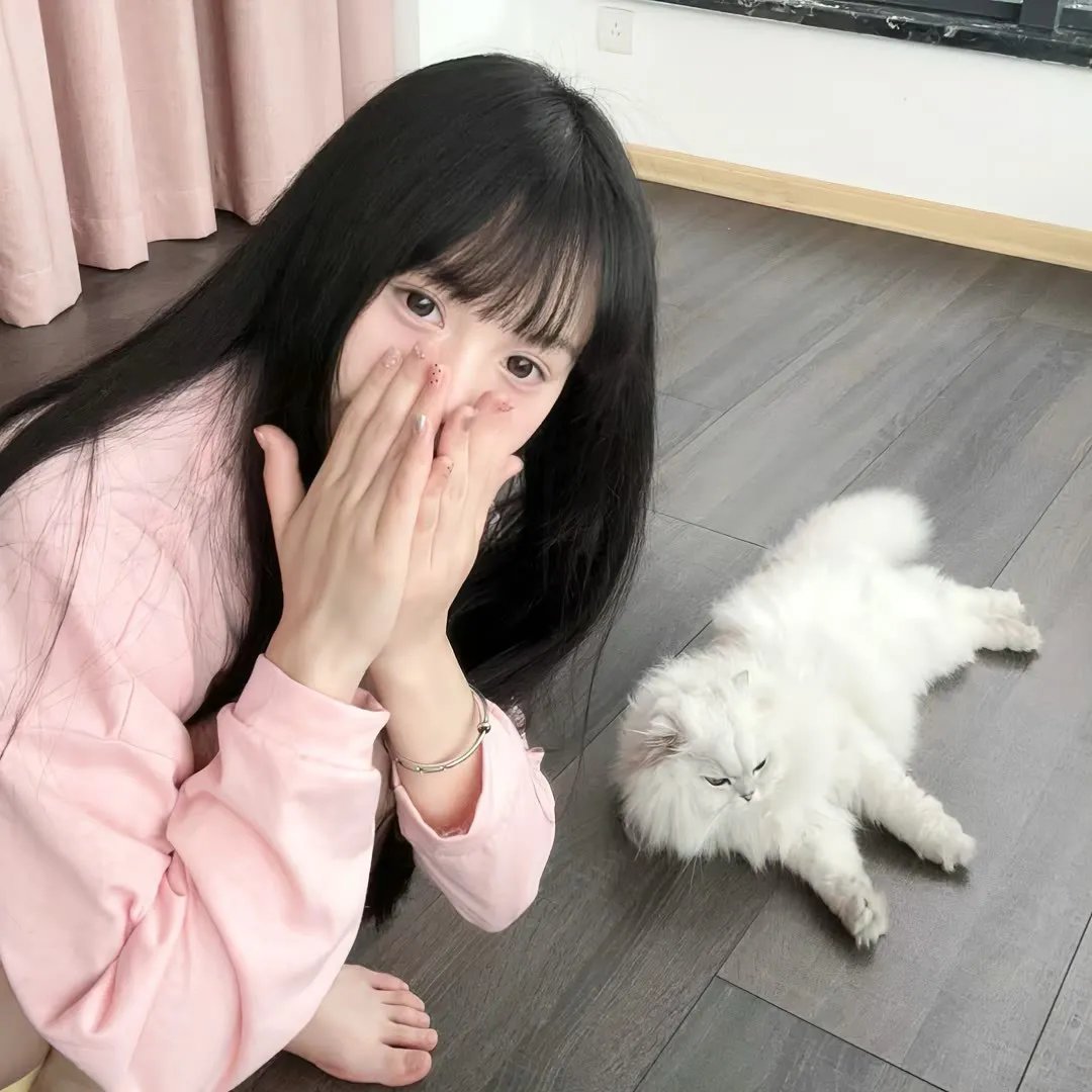 侦探事务所：诈欺猎人